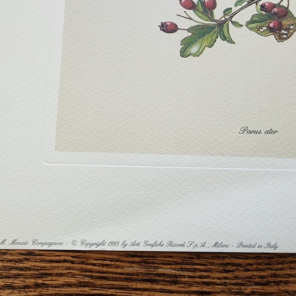 Vintage Art Prints Set Print In Italy M. Romagnoli 11.5 X 15" - Picture 2 of 6